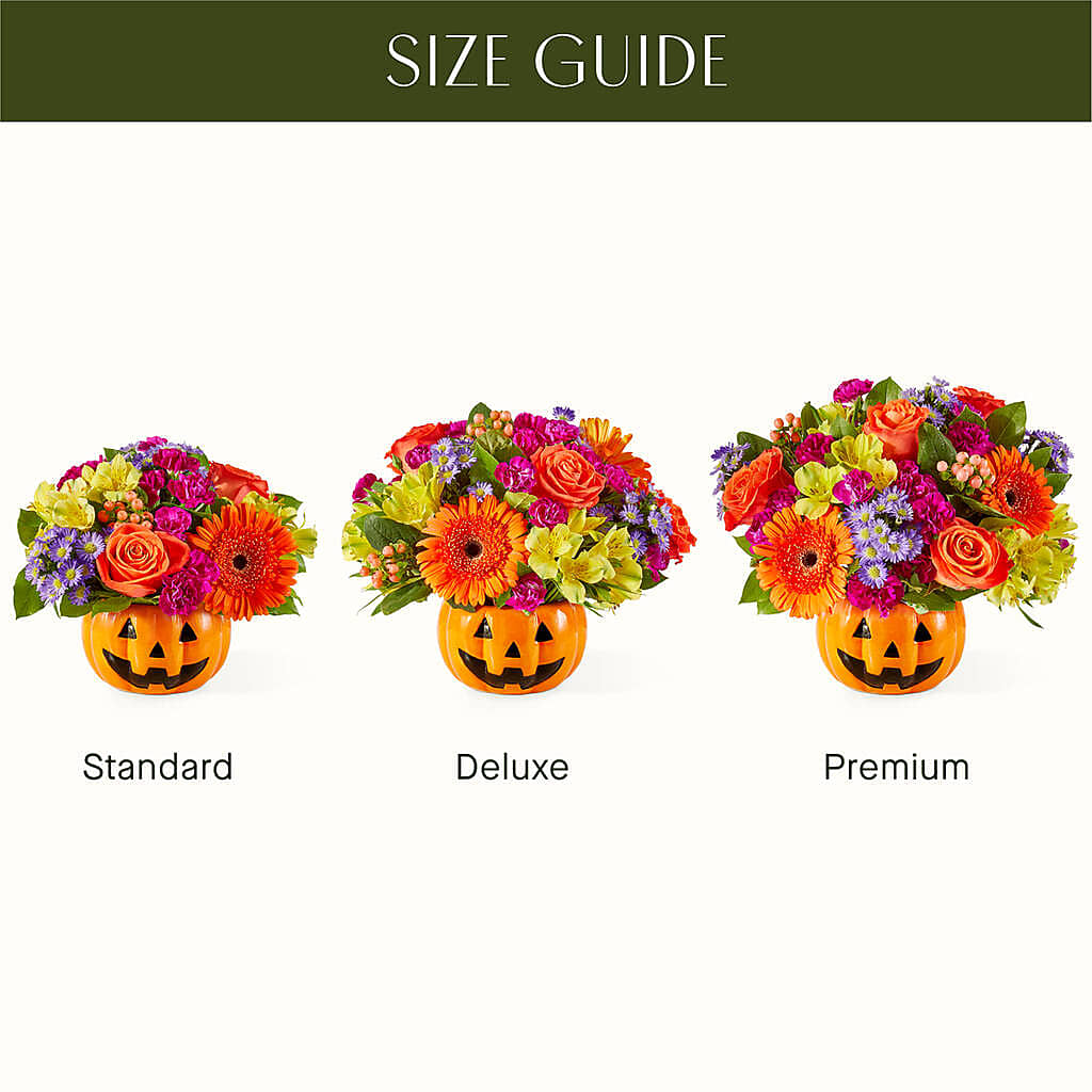 Tricks & Treats Pumpkin – New Rochelle Florist, New Rochelle NY