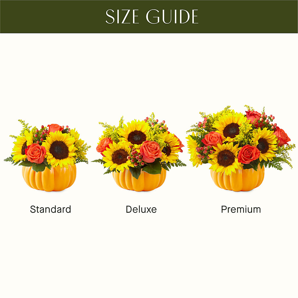 Pick of the Patch Pumpkin Bouquet – New Rochelle Florist, New Rochelle NY