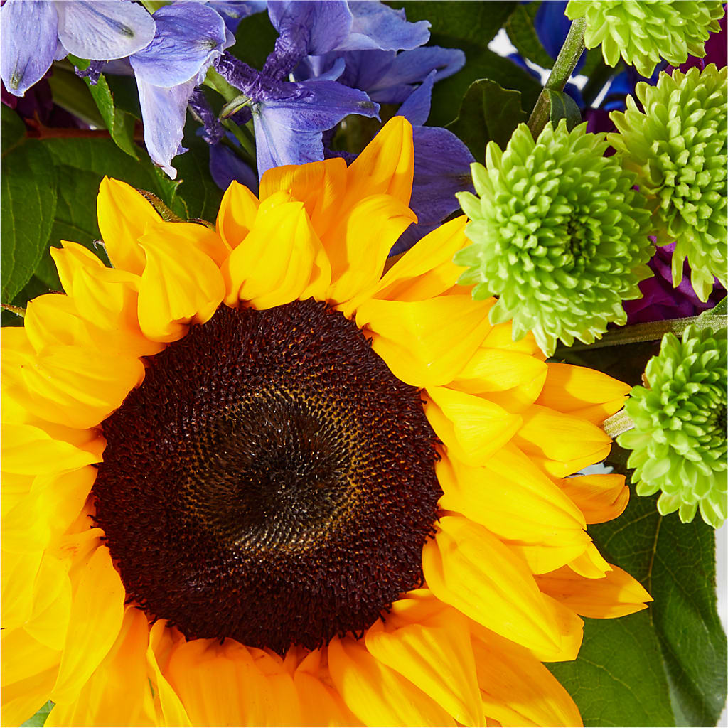 Catching Rays Bouquet – New Rochelle Florist, New Rochelle NY