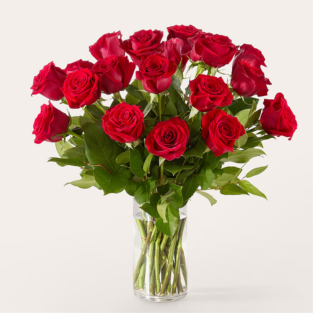 The One Red Rose Bouquet – New Rochelle Florist, New Rochelle NY