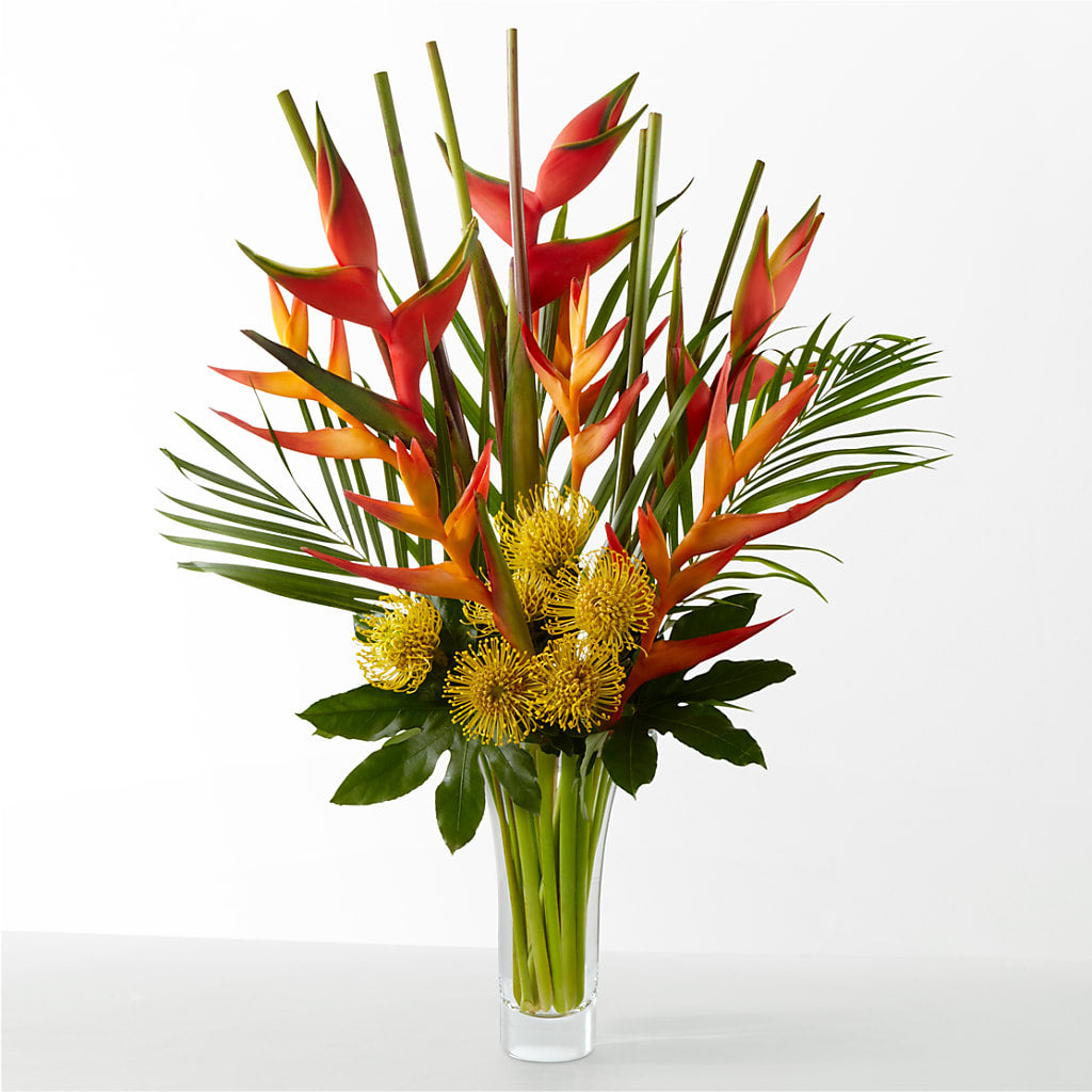 The Drama – New Rochelle Florist, New Rochelle NY