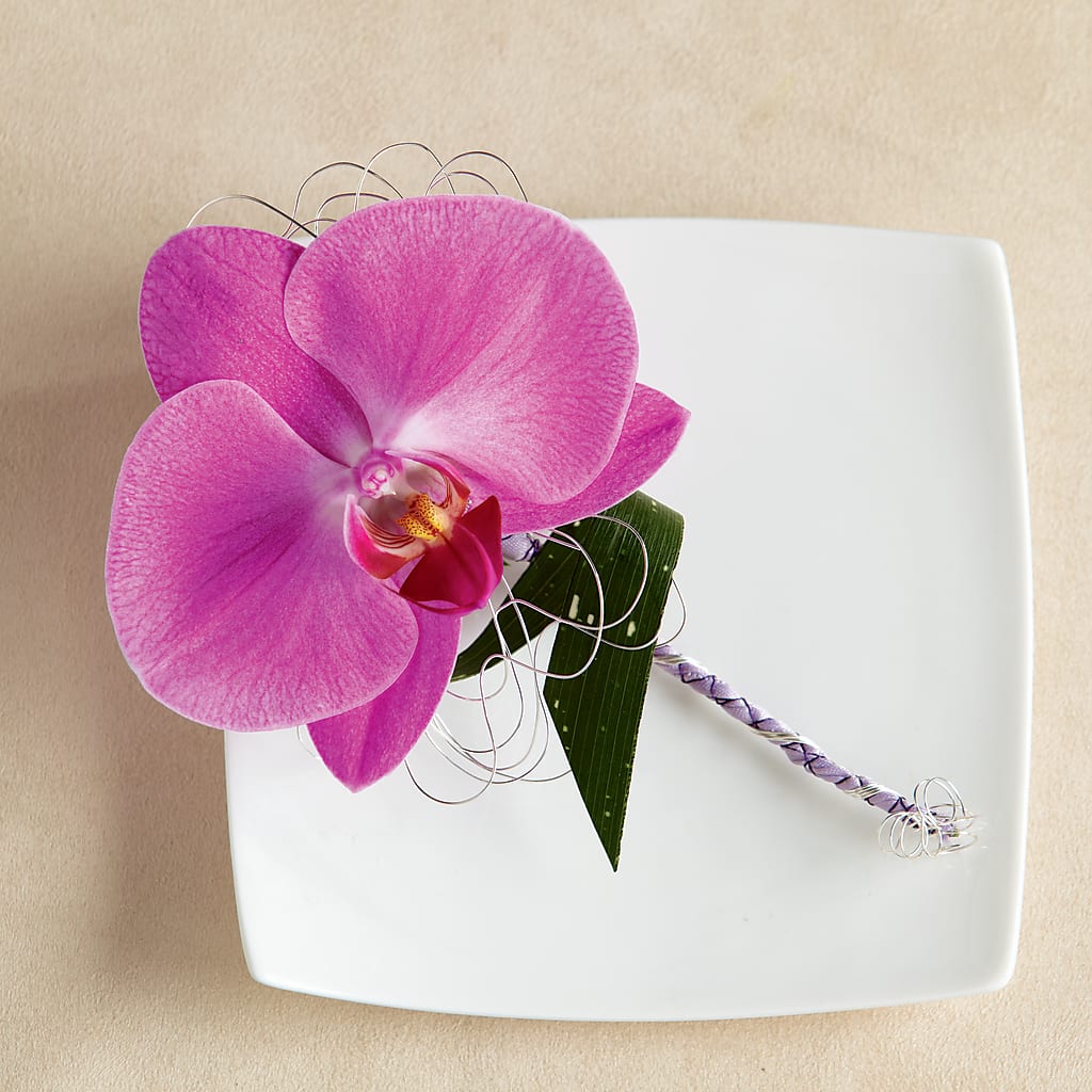 Glorious Boutonniere – New Rochelle Florist, New Rochelle NY