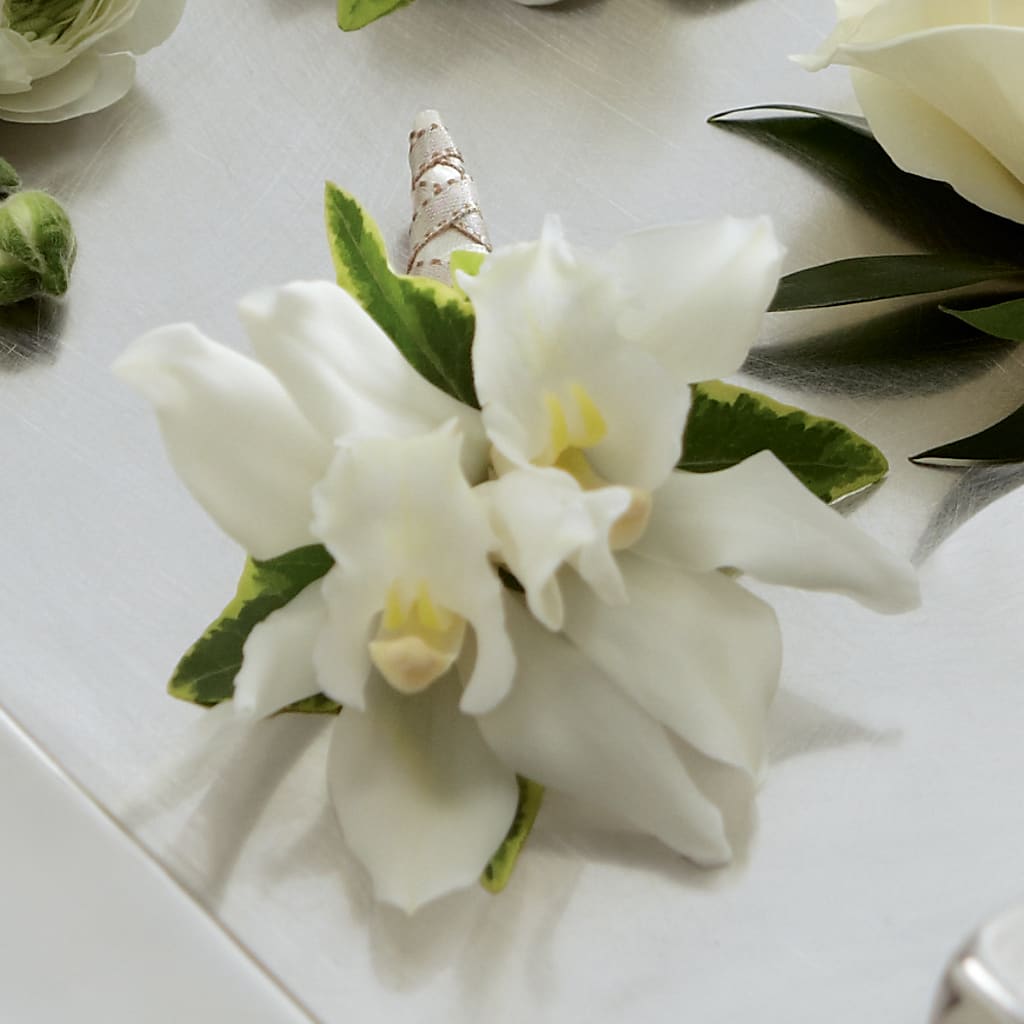 White Mini Cymbidium Boutonniere – New Rochelle Florist, New Rochelle NY