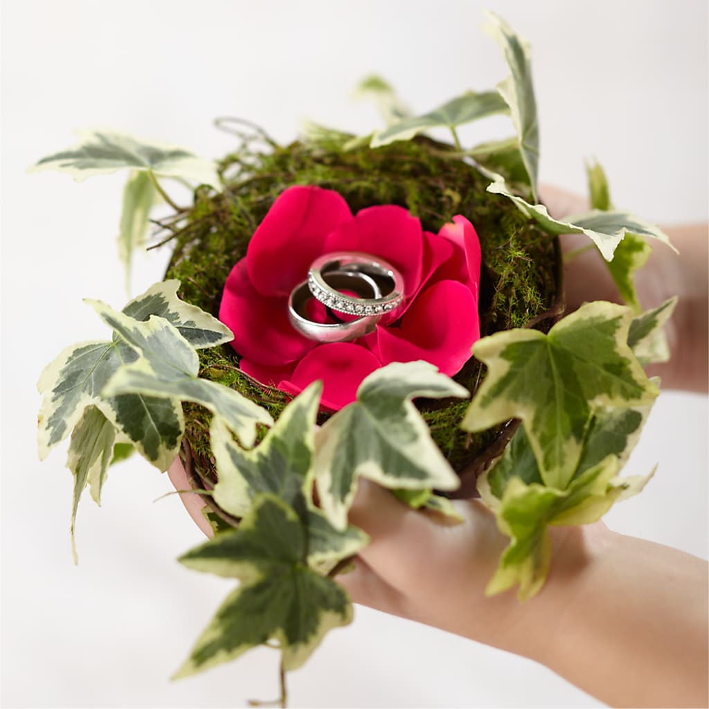 Lila Rose Ring Nest – New Rochelle Florist, New Rochelle NY