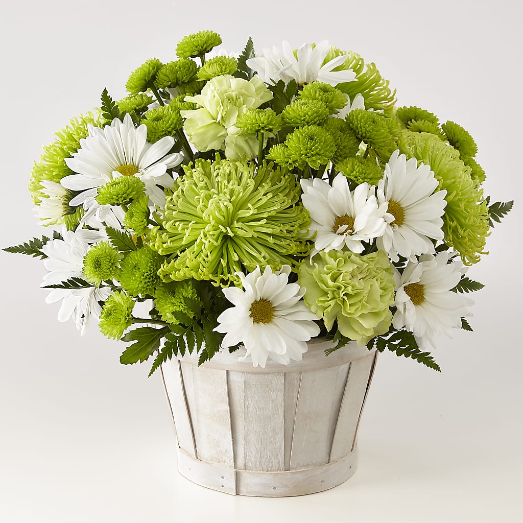 Lucky Charm Basket (Standard) –  New Rochelle Florist, New Rochelle NY