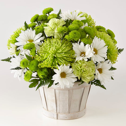 Lucky Charm Basket (Standard) –  New Rochelle Florist, New Rochelle NY