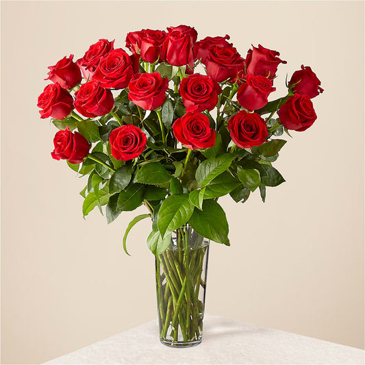 Long Stem Red Rose Bouquet –  New Rochelle Florist, New Rochelle NY