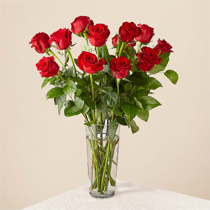Long Stem Red Rose Bouquet –  New Rochelle Florist, New Rochelle NY