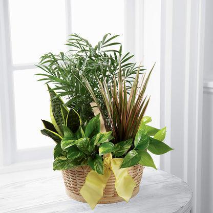 French Garden –  New Rochelle Florist, New Rochelle NY