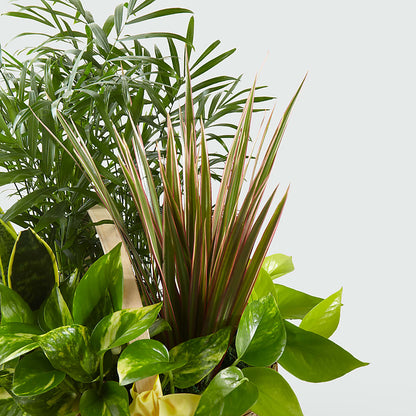 French Garden –  New Rochelle Florist, New Rochelle NY