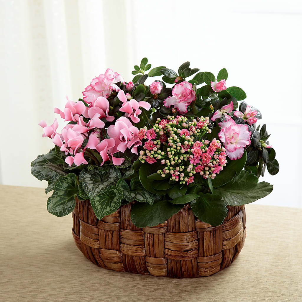 Pink Assortment –  New Rochelle Florist, New Rochelle NY