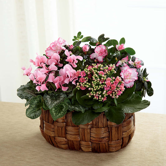 Pink Assortment –  New Rochelle Florist, New Rochelle NY