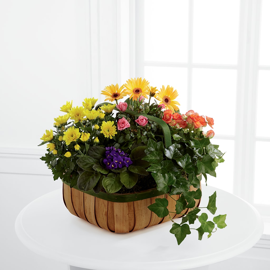 Gentle Blossoms Basket –  New Rochelle Florist, New Rochelle NY