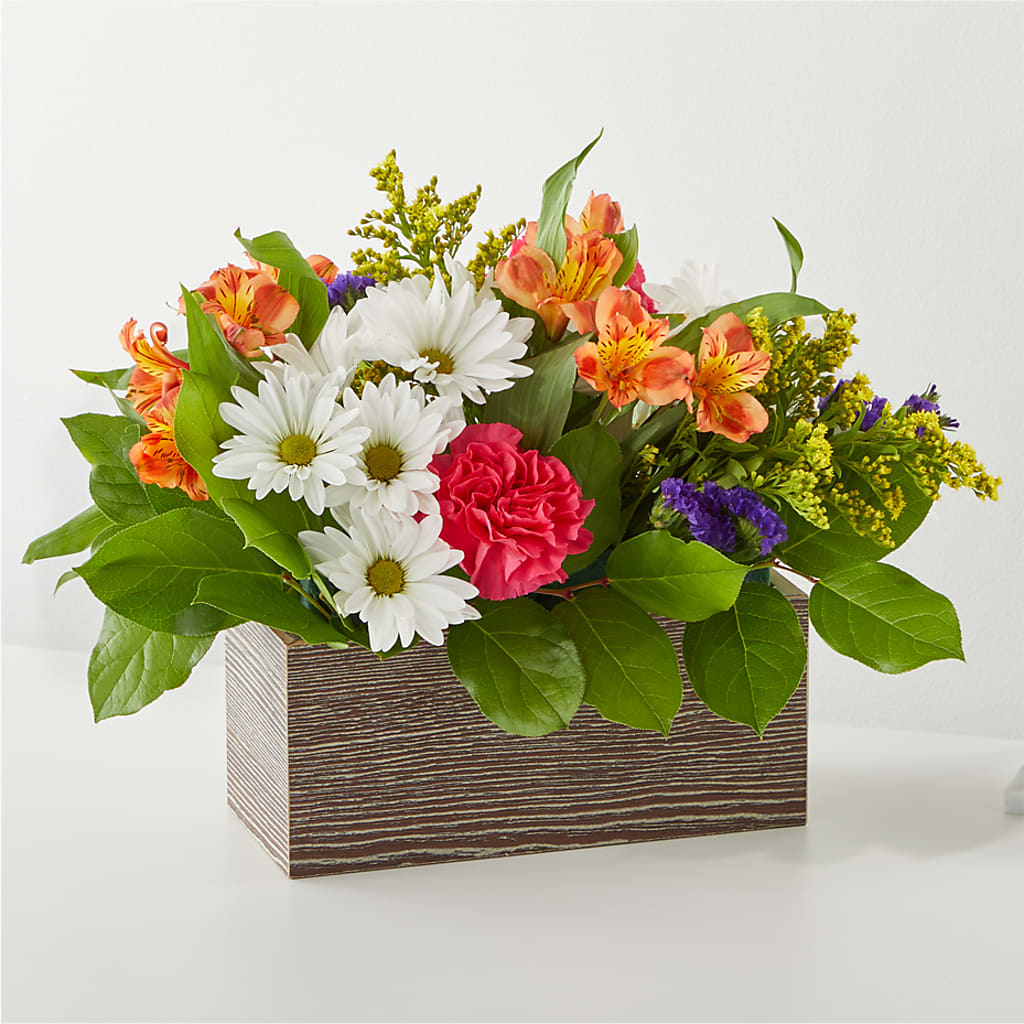 Oopsie Daisy Box Bouquet –  New Rochelle Florist, New Rochelle NY