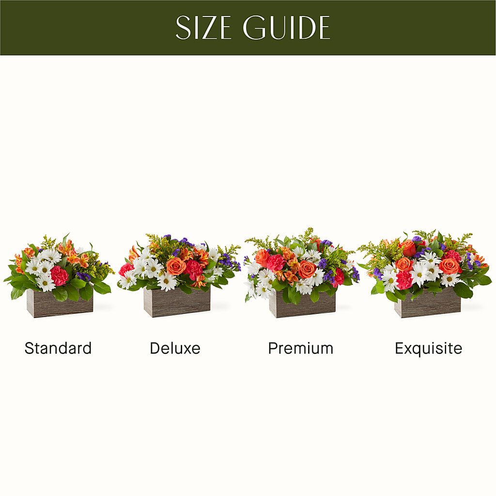 Oopsie Daisy Box Bouquet –  New Rochelle Florist, New Rochelle NY
