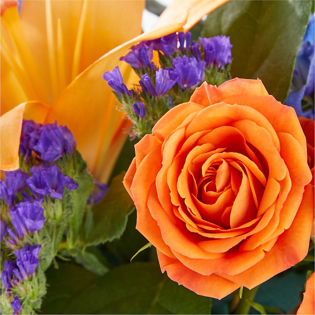 Radiant Citrus Box Bouquet –  New Rochelle Florist, New Rochelle NY