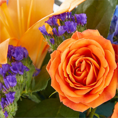 Radiant Citrus Box Bouquet –  New Rochelle Florist, New Rochelle NY