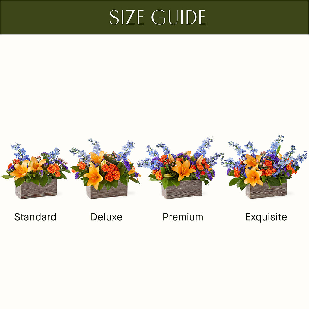Radiant Citrus Box Bouquet –  New Rochelle Florist, New Rochelle NY