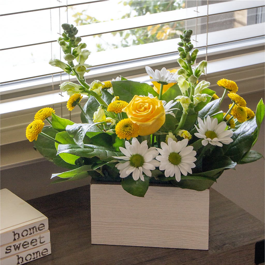 Sun Salutation Box Bouquet –  New Rochelle Florist, New Rochelle NY