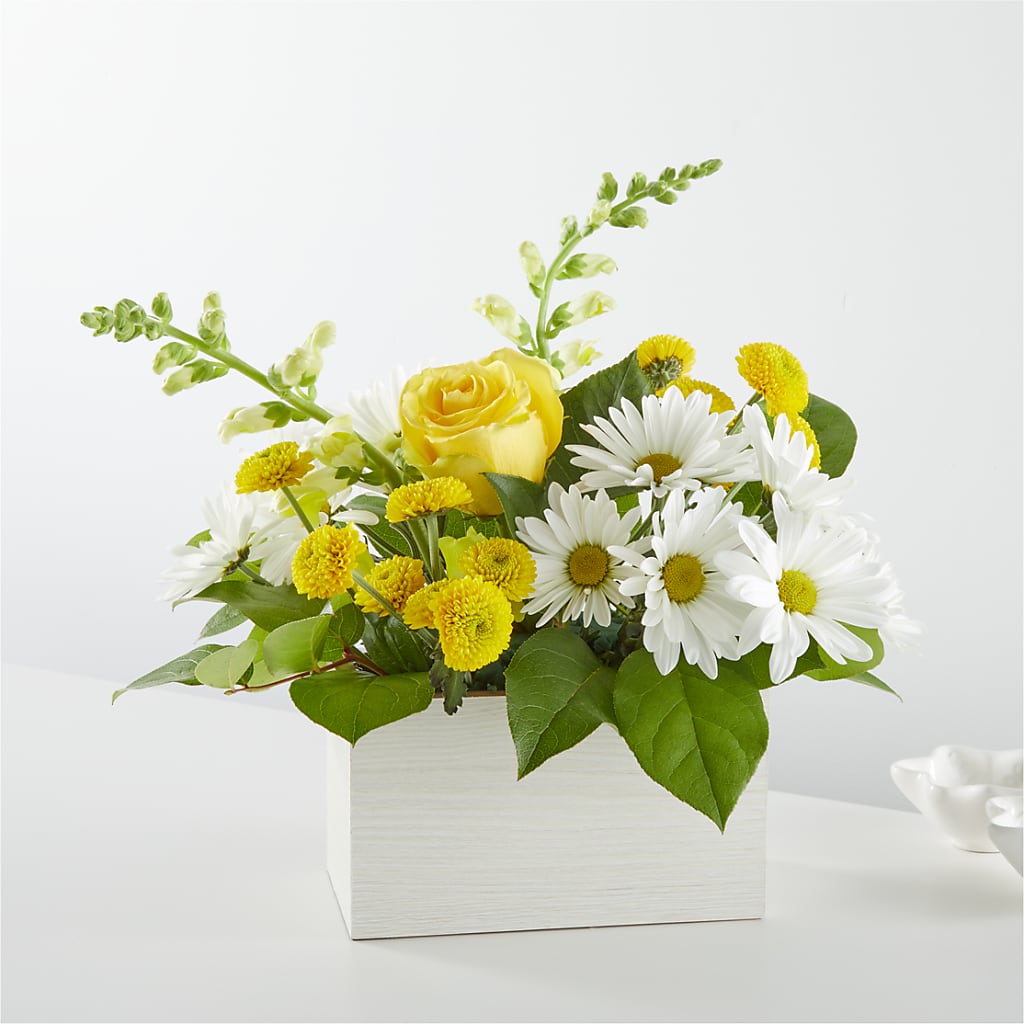 Sun Salutation Box Bouquet –  New Rochelle Florist, New Rochelle NY