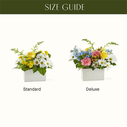 Sun Salutation Box Bouquet –  New Rochelle Florist, New Rochelle NY