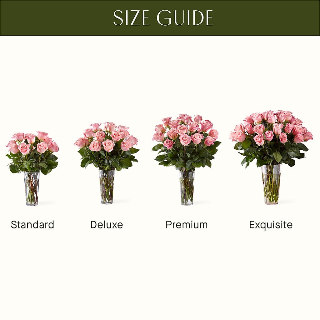 Long Stem Pink Rose Bouquet –  New Rochelle Florist, New Rochelle NY