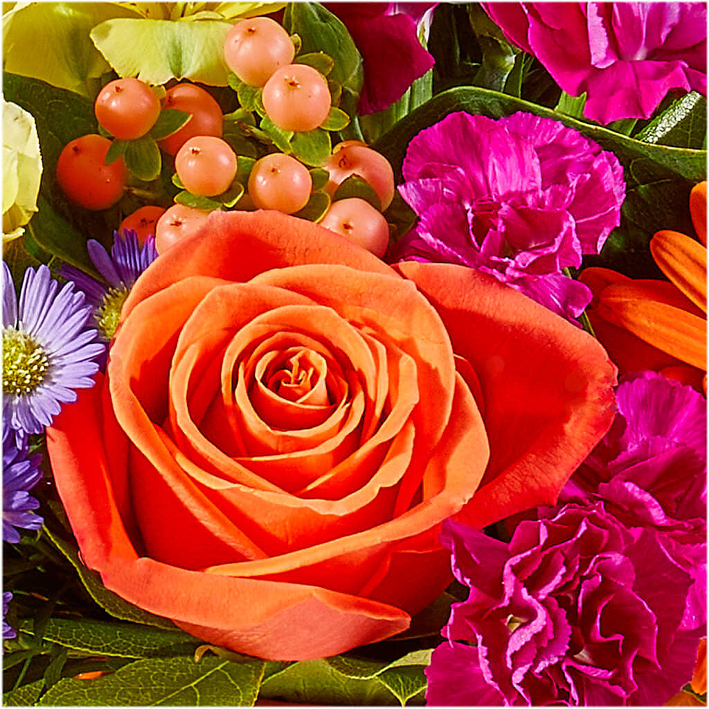 Tricks & Treats Pumpkin –  New Rochelle Florist, New Rochelle NY