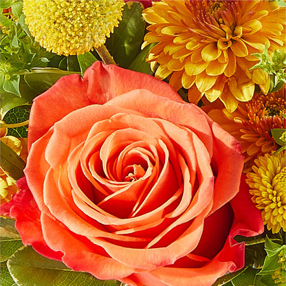 Gourdgeous Pumpkin –  New Rochelle Florist, New Rochelle NY