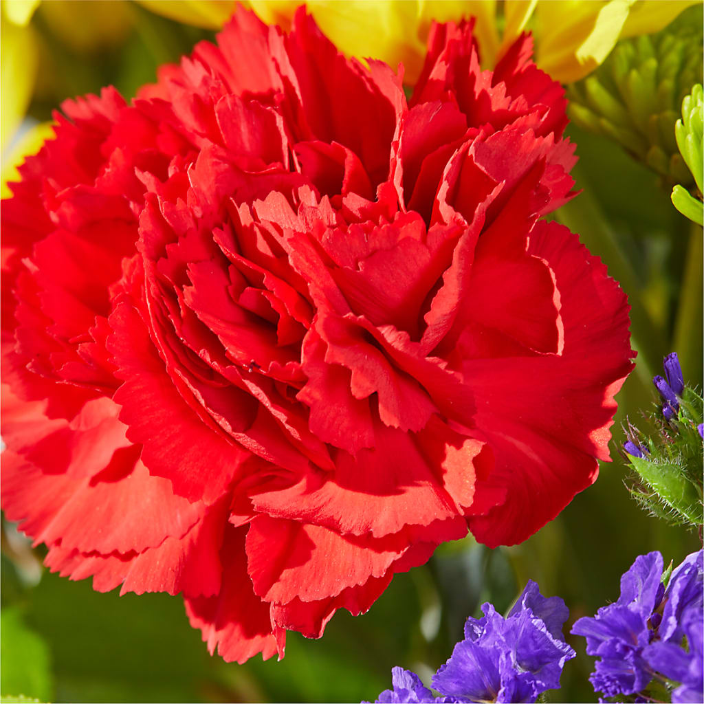 Brighter Days Bouquet –  New Rochelle Florist, New Rochelle NY