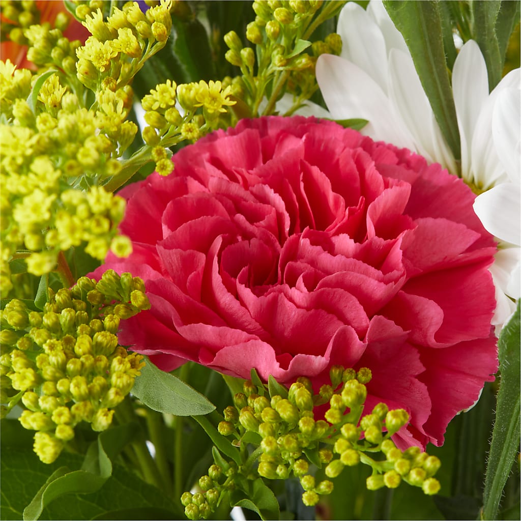 Oopsie Daisy Bouquet –  New Rochelle Florist, New Rochelle NY
