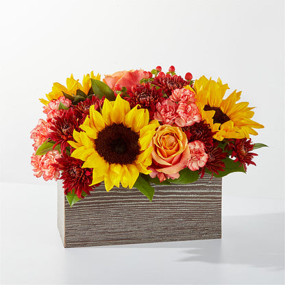 Fresh Cider Bouquet –  New Rochelle Florist, New Rochelle NY