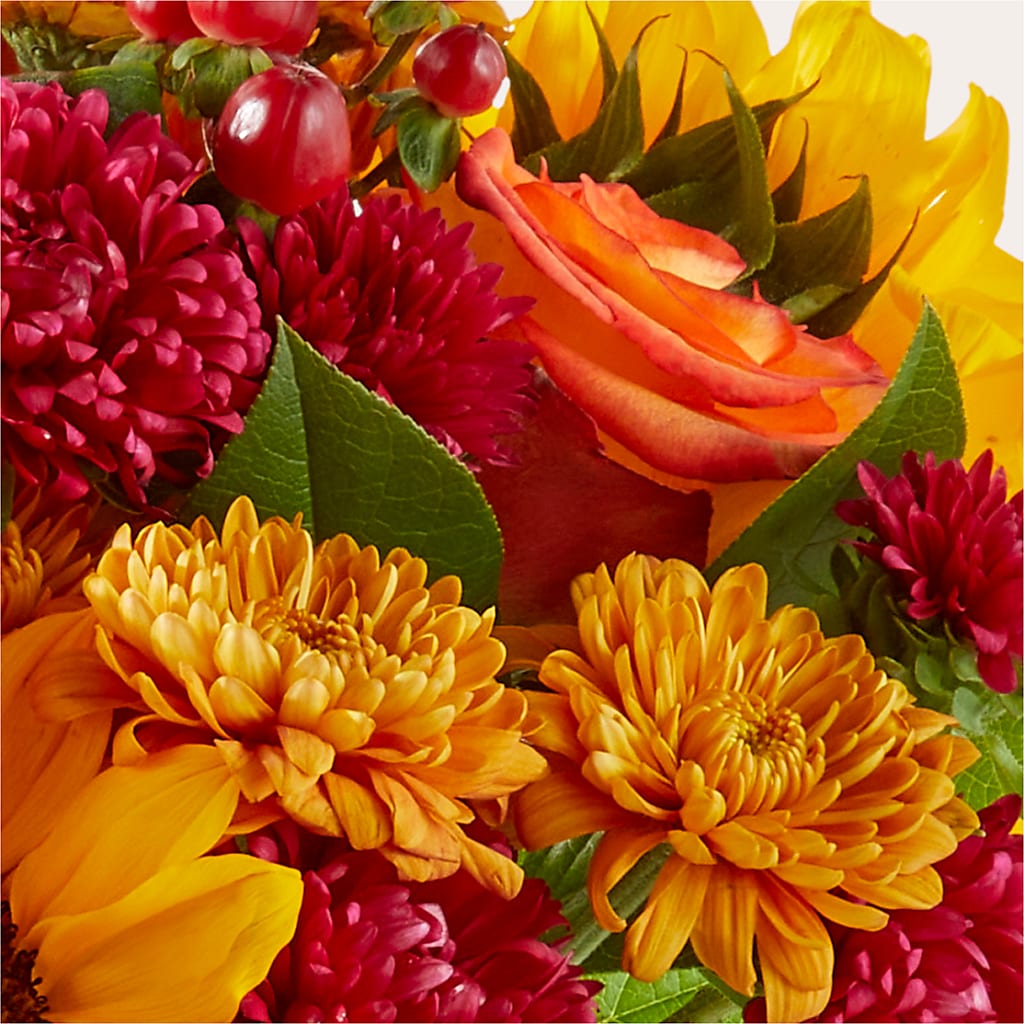 Sweater Season - A Florist Original –  New Rochelle Florist, New Rochelle NY