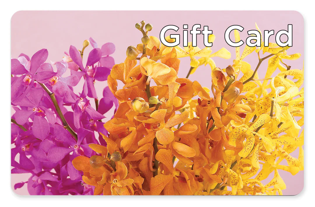 Gift Card –  New Rochelle Florist, New Rochelle NY