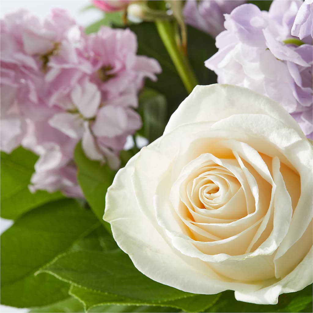 Springtime Spritz Bouquet –  New Rochelle Florist, New Rochelle NY