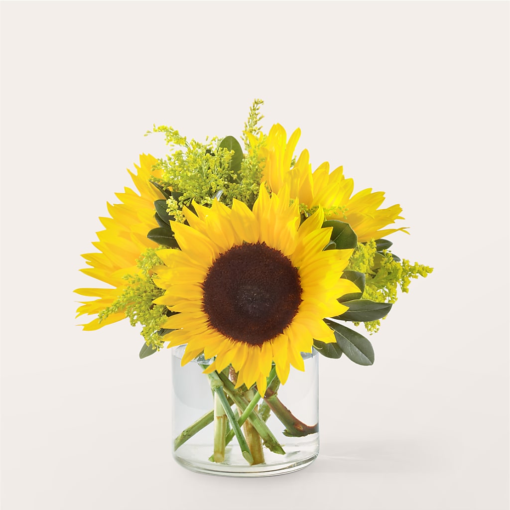 Beaming Sunflower Bouquet –  New Rochelle Florist, New Rochelle NY