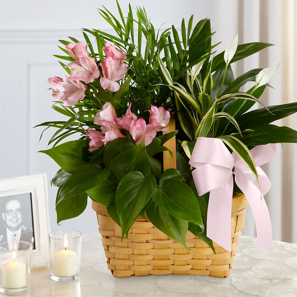 Living Spirit Dishgarden –  New Rochelle Florist, New Rochelle NY