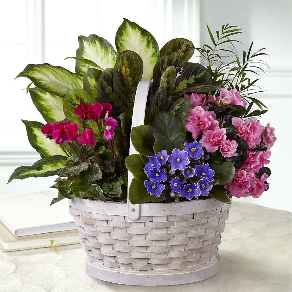 Peaceful Garden Planter –  New Rochelle Florist, New Rochelle NY