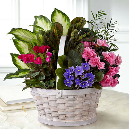 Peaceful Garden Planter –  New Rochelle Florist, New Rochelle NY