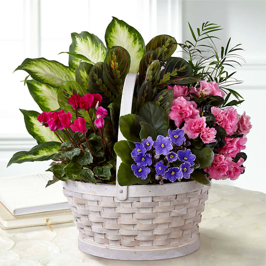 Peaceful Garden Planter –  New Rochelle Florist, New Rochelle NY