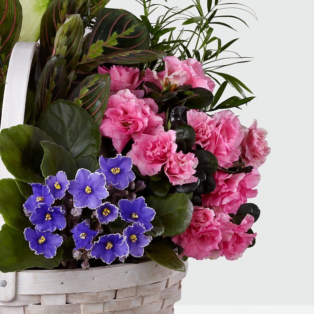 Peaceful Garden Planter –  New Rochelle Florist, New Rochelle NY