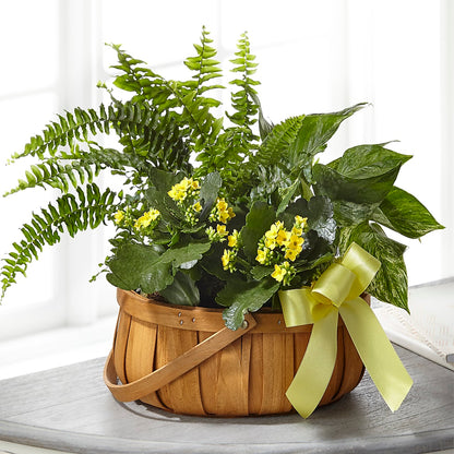 Always Dear Dishgarden –  New Rochelle Florist, New Rochelle NY