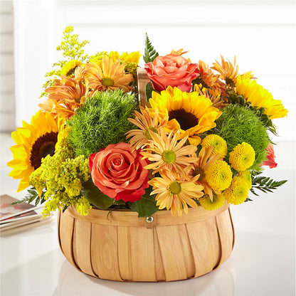 Harvest Sunflower Basket –  New Rochelle Florist, New Rochelle NY