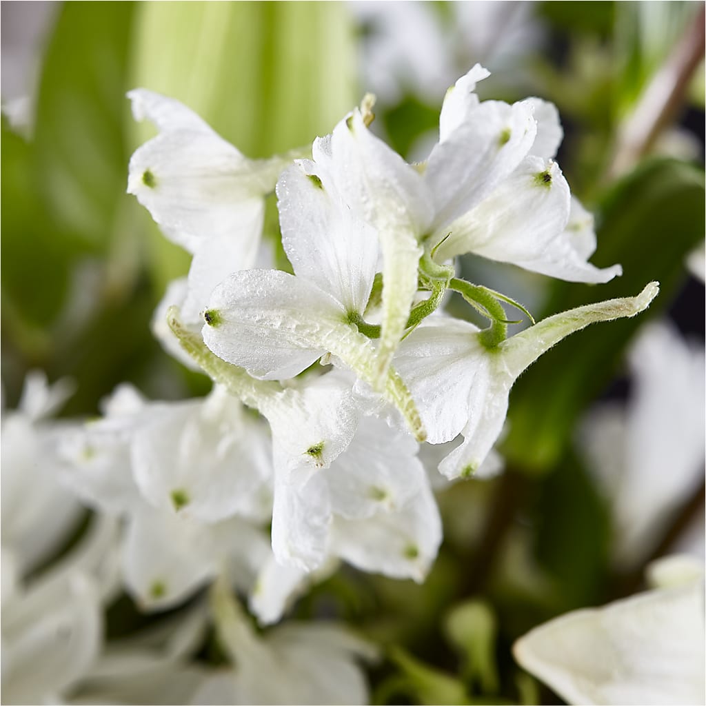 Classic Ivory – A Florist Original –  New Rochelle Florist, New Rochelle NY