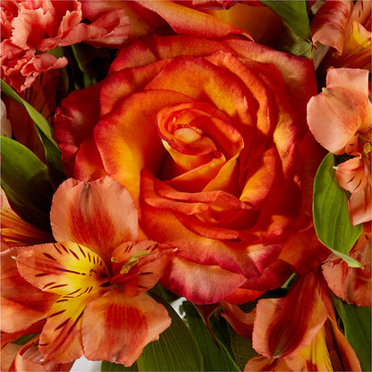 Apricot Glow Bouquet –  New Rochelle Florist, New Rochelle NY