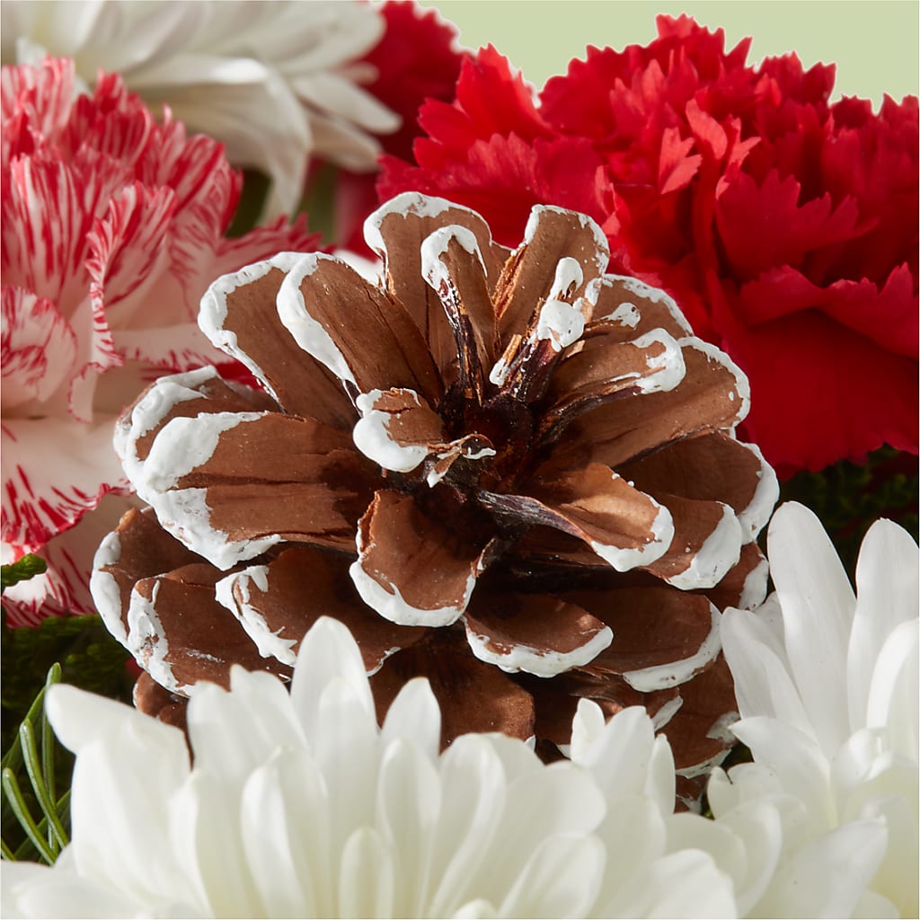 Candy Cane Lane Bouquet –  New Rochelle Florist, New Rochelle NY