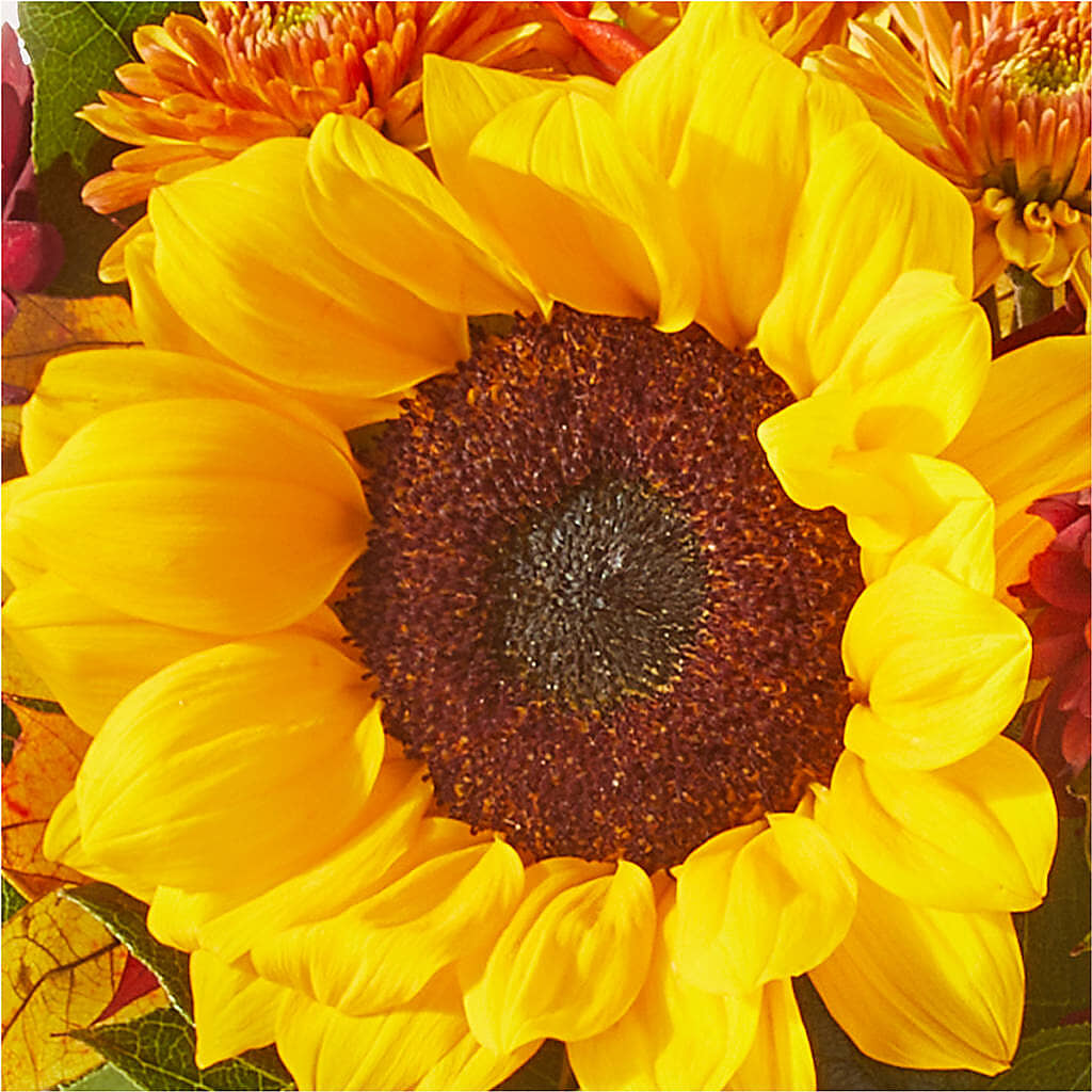 Sunny Side Bouquet –  New Rochelle Florist, New Rochelle NY
