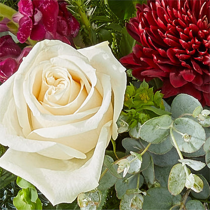 Cranberry Fizz Bouquet –  New Rochelle Florist, New Rochelle NY