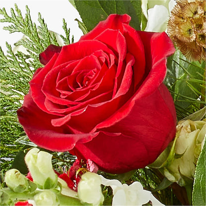 Deck the Halls Bouquet –  New Rochelle Florist, New Rochelle NY