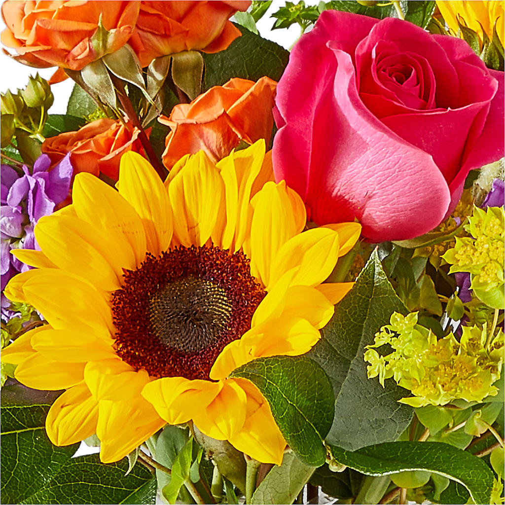 Vibrant Greetings Bouquet –  New Rochelle Florist, New Rochelle NY