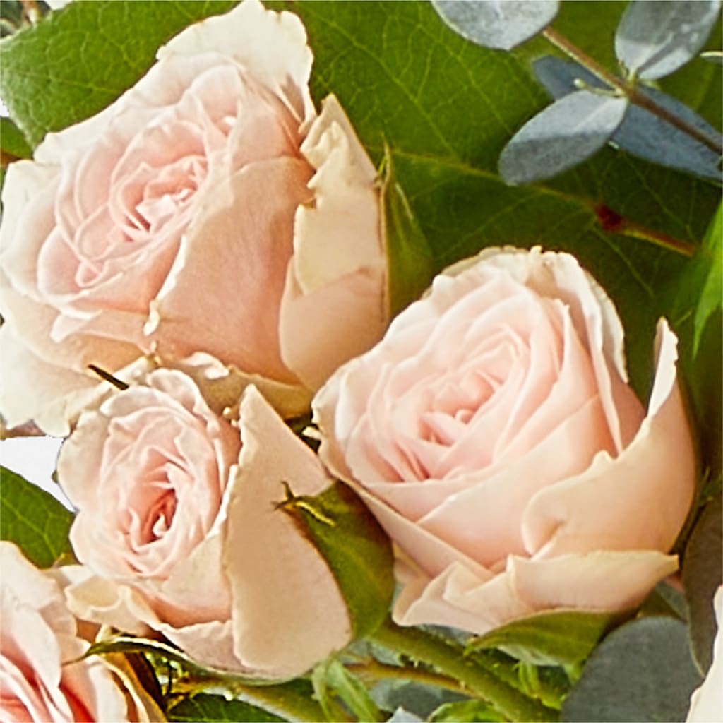Inspired Bouquet –  New Rochelle Florist, New Rochelle NY